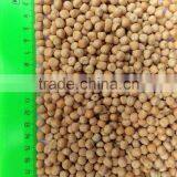 YELLOW PEAS thumbnail-4