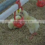 Poultry Layer Chicken Coop Farm Equipment thumbnail-3
