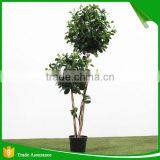 Mini Bonsai Artificial Ficus Trees thumbnail-3