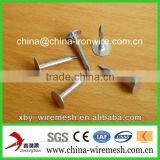 Galvnized Roofing Nails thumbnail-1
