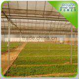 Cooling Pads Greenhouse Structure thumbnail-1