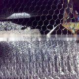 Chicken Wire Mesh Stainless Steel Mesh
