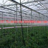 2017 Distributor Price Grow Light for Greenhouse 150w for Interlighting Cucumber/Tomatoes thumbnail-2