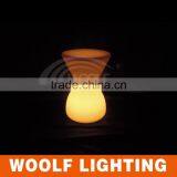 Attractive Illuminative Decorative Remote Control LED Chair