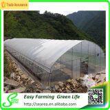 Glass Greenhouse thumbnail-3