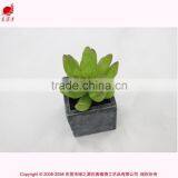 Wholesale Artificial Min Succulents Potted Garden Arrangement Cheap Mini Plant thumbnail-1