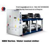 Room Cooling Dedicated Precision Temperature Control Air Conditioning BUSCH Water Cooled Screw Chiller thumbnail-1
