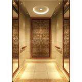 Delfar Safe Passenger Elevator