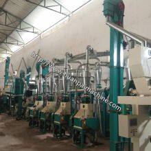Corn Flour Making Machine Maize Meal Making Plant 50T Super Grain Flour Making Machine thumbnail-4