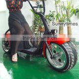 Sunnytimes Two Wheel Self Balancing Citycoco Electric Scooter 60V Lithium Battery 1000W Motor