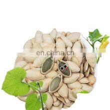 Halal Certificate Pumpkin Seeds Shine Skin Pumpkin Seeds Kernels Grade Top A For Mix Nuts Wholesale Cheap Snacks thumbnail-3