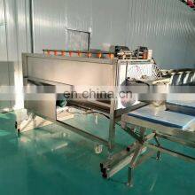 Stainless Steel 304 Automatic Peeling And Washing Machine For Potato And Ginger thumbnail-4