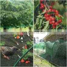 Agriculture HDPE Customized Anti Bird Net Garden Greenhouse Horticulture Plant Protection Cover Weaved thumbnail-2
