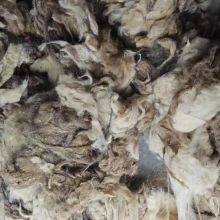 Tibetan Raw Greasy Cashmere Fiber Tibet Cashmere Fineness 14.5mic thumbnail-2