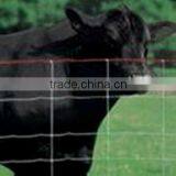 YUANXI COW WIRE MESH(FACTORY) thumbnail-1