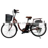 Rechargeable High Speed Electric Bicycle