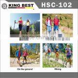 KING BEST Popular 2-SECTION Nordic Walking Stick Carbon Trekking Pole Walking Nordic Walking Stick thumbnail-6
