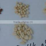 Industrial Puff Corn Snack Machine thumbnail-5