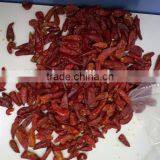 Dry Red Chili With High Quality thumbnail-3