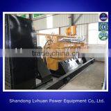 Hot Sale New Model AST 100kw Lpg Gas Generator Price thumbnail-4