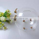 China Manufacturer Custom Design Hot Sale Piggy Bank Decorative Clear Borosilicate Promotional Glass Home Decoration thumbnail-6