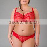 EWA MICHALAK stylish new design sexy fancy net latest fashion bra panty beautiful transparent bra plus size 36-50