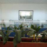 Dongguan Tops Fashion Apparel Co., Ltd. company overview - view 1 thumbnail