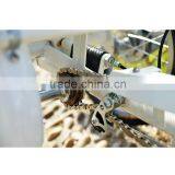 China Electric Bajaj Tricycle Pedal Adults for Elderly thumbnail-6