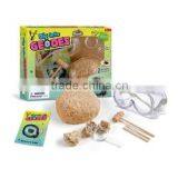 Dig Into Geodes thumbnail-1