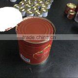 All Kinds of Canned Tomato Paste Sale thumbnail-3