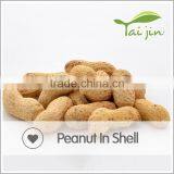 Bulk processing plant peanuts in shell