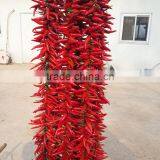 Upright Single Hot Pepper/Chilli Seed Huo Xing No.1 thumbnail-2