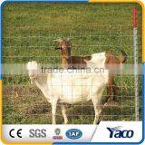 Most Popular Farm Fence Y Fece Post for Australia Market thumbnail-4