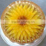 Dessert Cake Made by Gracilaria Powder thumbnail-1