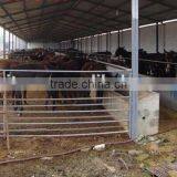 Hot Dip Galvanized Sheep Fence Panel thumbnail-2