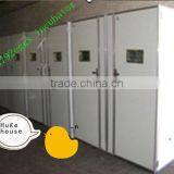 Large Industrial Egg Incubator From WEIQIAN CHINA WQ-33792