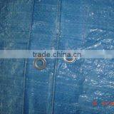 tarpaulin for swimming pool