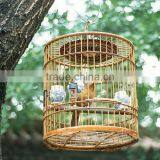 Birdcage thumbnail-1