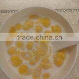 The Newest Fast Delivery Choco Pie Machine Suppliers thumbnail-3