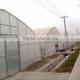 Cheap Price Single Tree Greenhouse thumbnail-4