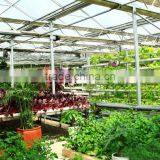 Hot-Dip Galvanized Steel Pipe High Glass Greenhouse For Hydroponic Planting thumbnail-6