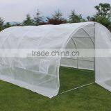 Popular Poly Tunnel Greenhouse / Garden Tunnel Greenhouse With Metal Door4*3*2 thumbnail-1