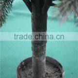 Noble Artificial Christmas Tree Sales Online Hot Sale Fake Christmas Tree thumbnail-6