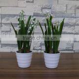 Potted Artificial White Flowers Bonsai thumbnail-2