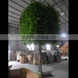 New Hotsale Artificial Large Green Outdoor Topiary Ficus Tree Self Customized Fake Green Ficus/Banyan Tree thumbnail-2