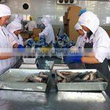 Taizhou Huatong Aquatic Products Co., Ltd. company overview - view 2 thumbnail