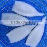 Frozen Squid Tube U10 thumbnail-2