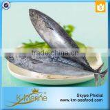 New Caught And Healthy Frozen Bonito With Prices thumbnail-1