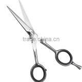 Professional Barber Scissors