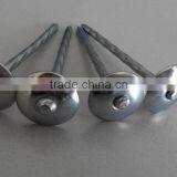 China Supplier Roofing Nail/galvanized Roofing Nail/umbrella Head Coil Roofing Nail thumbnail-4